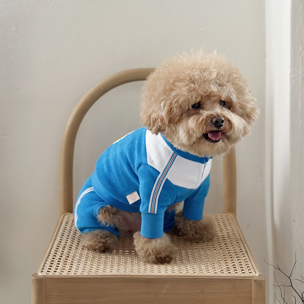 Tennis Dog Sweatsuit 테니스독 스웻수트_ Blue