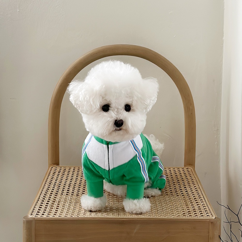 [재입고]Tennis Dog Sweatsuit 테니스독 스웻수트_ Green