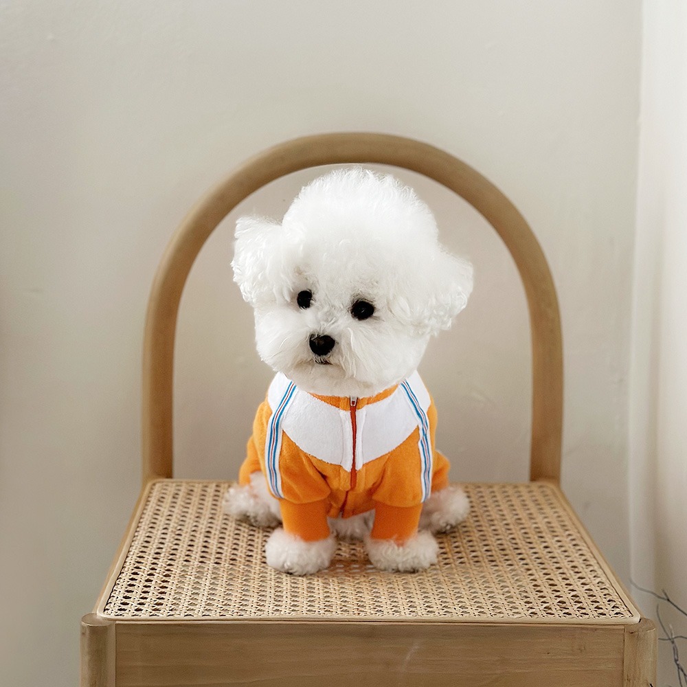 Tennis Dog Sweatsuit 테니스독 스웻수트_ Orange