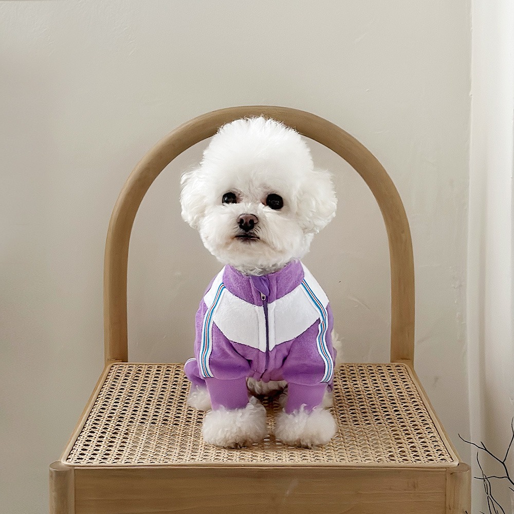 Tennis Dog Sweatsuit 테니스독 스웻수트_ Violet